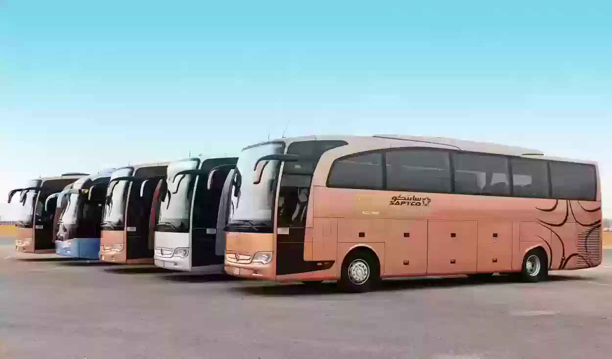 وزارة النقل السعودية: سعر تذاكر النقل الجماعي الجديدة في السعودية من المدينة إلى مكة 2024